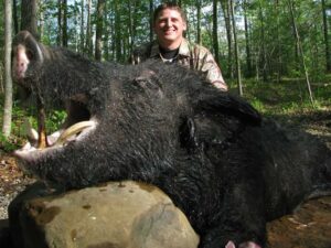 Wild Boar Hunt at Spartan Hunting Lodge Tennessee 81