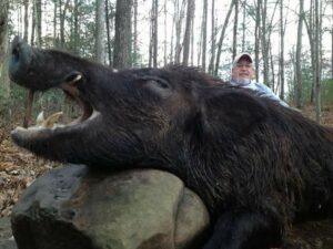 Wild Boar Hunt at Spartan Hunting Lodge Tennessee 76