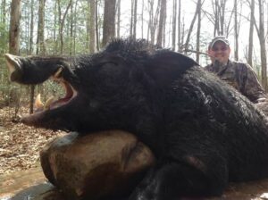 Wild Boar Hunt at Spartan Hunting Lodge Tennessee 70