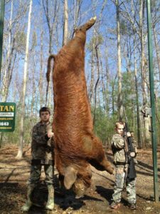 Wild Boar Hunt at Spartan Hunting Lodge Tennessee 68