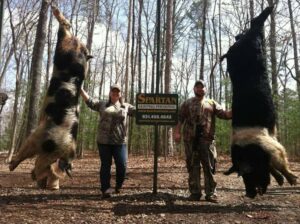 Wild Boar Hunt at Spartan Hunting Lodge Tennessee 66