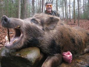 Wild Boar Hunt at Spartan Hunting Lodge Tennessee 88