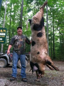 Wild Boar Hunt at Spartan Hunting Lodge Tennessee 58