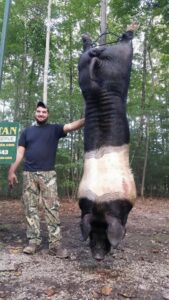 Wild Boar Hunt at Spartan Hunting Lodge Tennessee 57