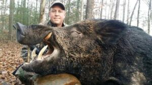 Wild Boar Hunt at Spartan Hunting Lodge Tennessee 54