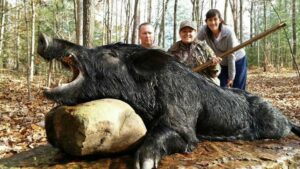 Wild Boar Hunt at Spartan Hunting Lodge Tennessee 53