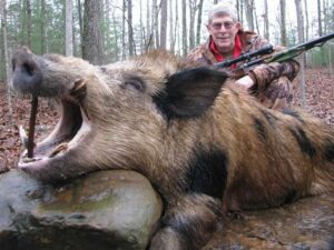 Wild Boar Hunt at Spartan Hunting Lodge Tennessee 87