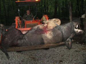 Wild Boar Hunt at Spartan Hunting Lodge Tennessee 44