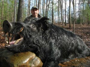 Wild Boar Hunt at Spartan Hunting Lodge Tennessee 86