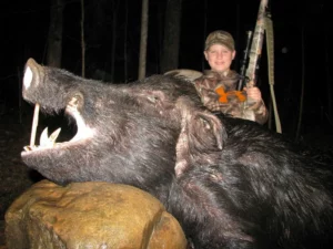 Wild Boar Hunt at Spartan Hunting Lodge Tennessee 33