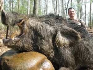 Wild Boar Hunt at Spartan Hunting Lodge Tennessee 32