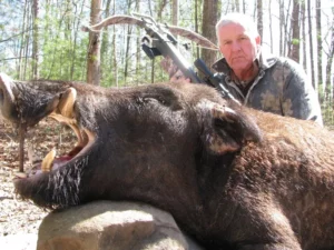 Wild Boar Hunt at Spartan Hunting Lodge Tennessee 30