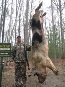 Wild Boar Hunt at Spartan Hunting Lodge Tennessee 28