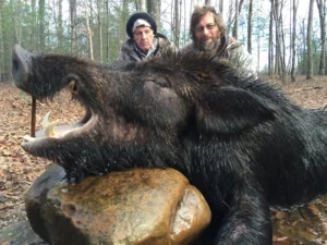 Wild Boar Hunt at Spartan Hunting Lodge Tennessee 19