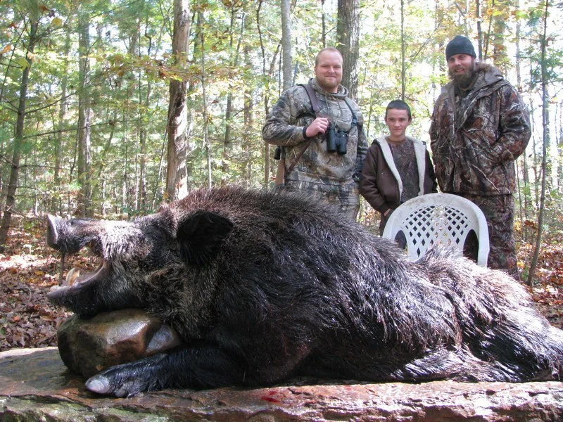 Wild Boar Hunt at Spartan Hunting Lodge Tennessee 17