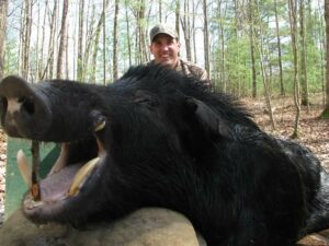 Wild Boar Hunt at Spartan Hunting Lodge Tennessee 83