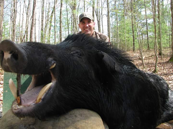 Wild Boar Hunt at Spartan Hunting Lodge Tennessee 83