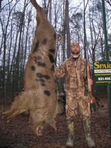 Wild Boar Hunt at Spartan Hunting Lodge Tennessee 11