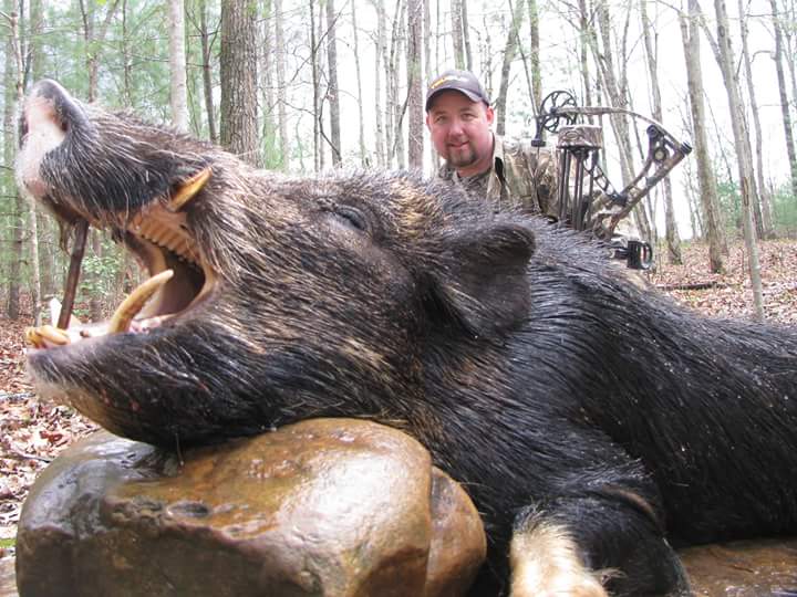 Wild Boar Hunt at Spartan Hunting Lodge Tennessee 82