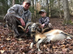 Exotic Ram Hunt at Spartan Hunting Lodge in Tennessee 1