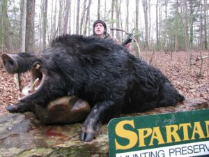 Wild Boar Hunt at Spartan Hunting Lodge Tennessee