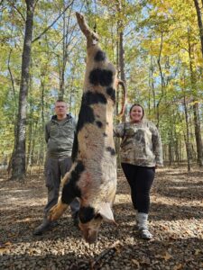 Wild boar hunting 8