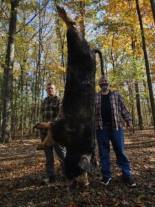 Wild Boar Hunt 3