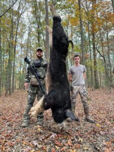 Wild Boar Hunt at Spartan Hunting