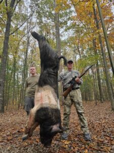 Wild Boar Hunt at Spartan Hunting