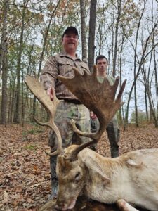 Fallow Deer Hunt at Spartan Hunting img 2