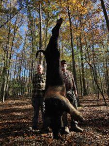 Exotic Ram Hunt at Spartan Hunting Lodge tn 2