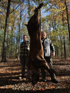 Exotic Ram Hunt at Spartan Hunting tn 1