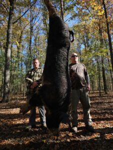 Exotic Ram Hunt at Spartan Hunting tn 4