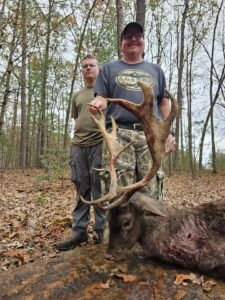 Fallow Deer Hunt at Spartan Hunting img 5