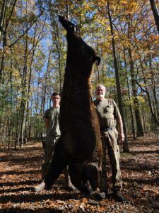 Exotic Ram Hunt at Spartan Hunting Lodge tn 3