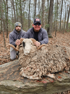 Exotic Rams successful hunt 6-min