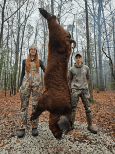 wild boars successful hunt 8-min