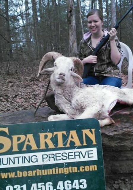 Exotic Ram Hunt at Spartan Hunting Lodge Tennessee 21