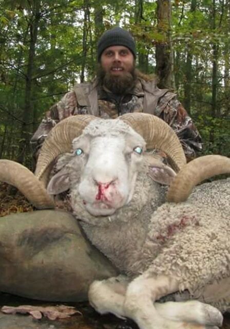 Exotic Ram Hunt at Spartan Hunting Lodge Tennessee 8