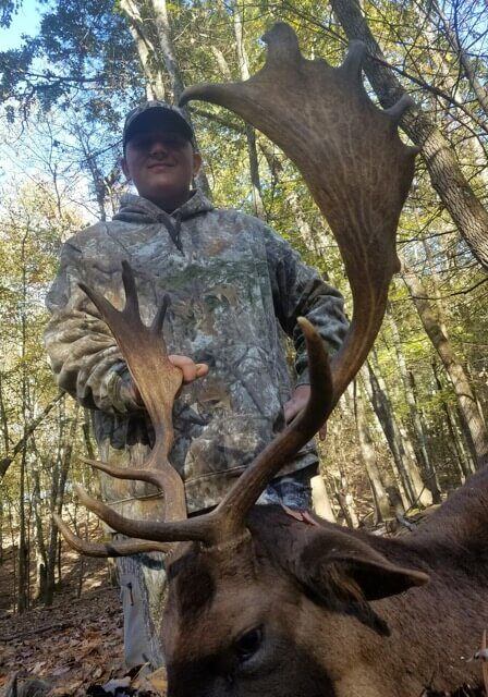Fallow Deer Hunt at Spartan Hunting Lodge Tennessee 1