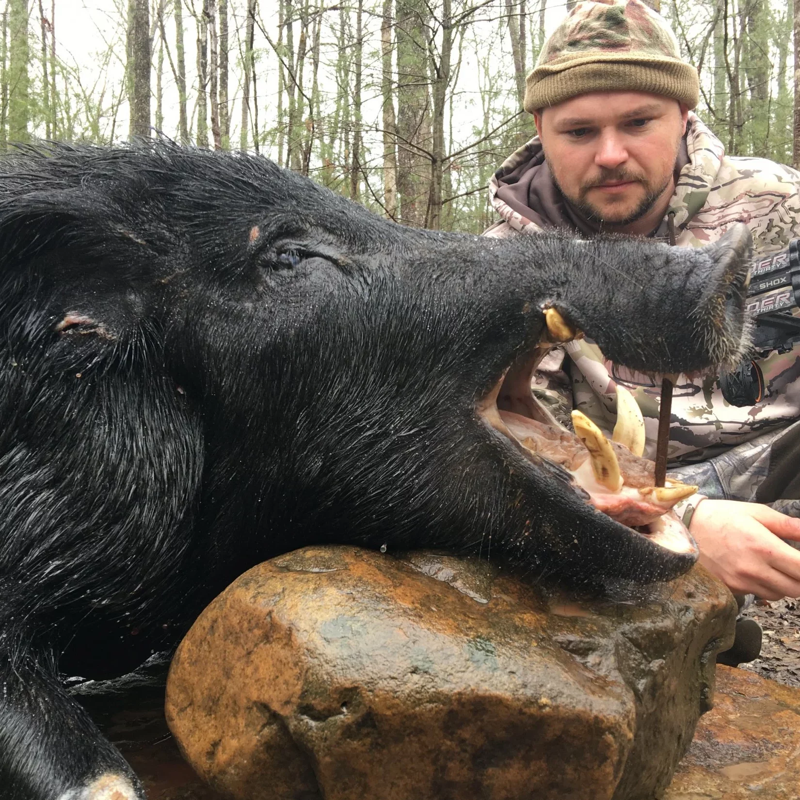 Wild Boar Hunt at Spartan Hunting Lodge Tennessee 14