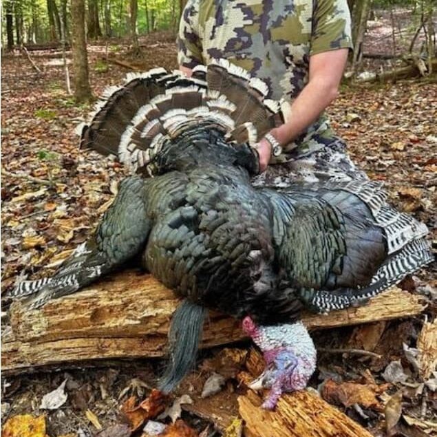 Turkey Hunt at Spartan Hunting Lodge Tennessee 8
