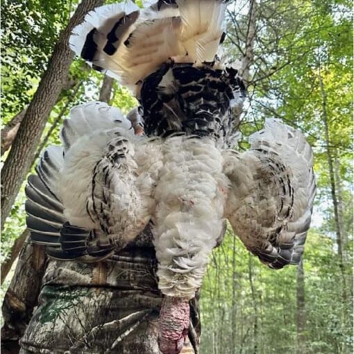Turkey Hunt at Spartan Hunting Lodge Tennessee 9